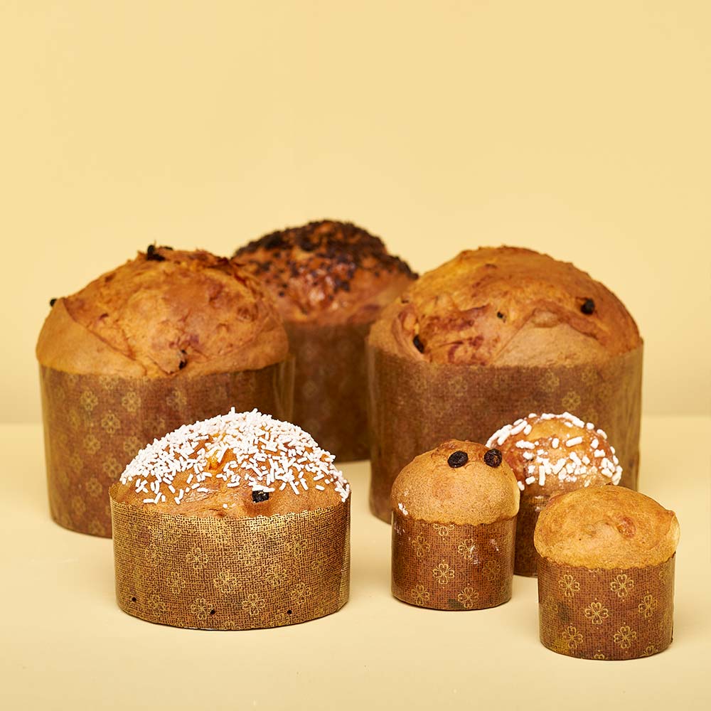 Panettone discount paper molds